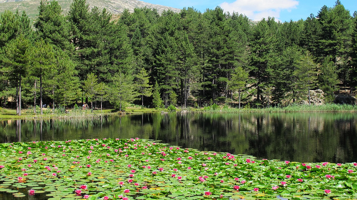  Le lac de Crenu