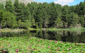  Le lac de Crenu